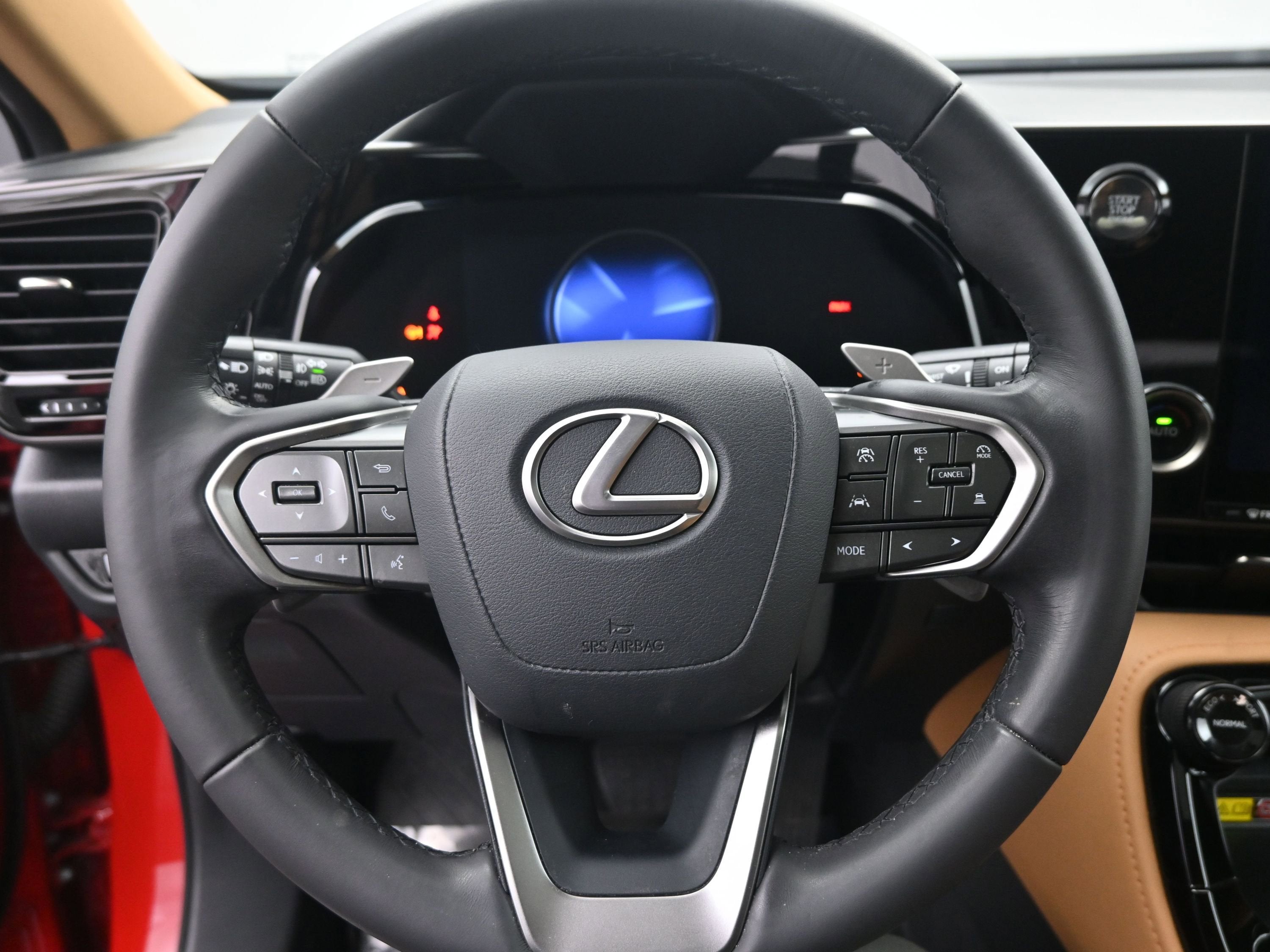 2025 Lexus NX NX 250 Premium