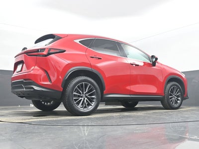 2025 Lexus NX NX 250 Premium