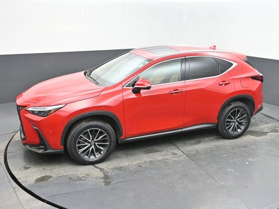 2025 Lexus NX NX 250 Premium