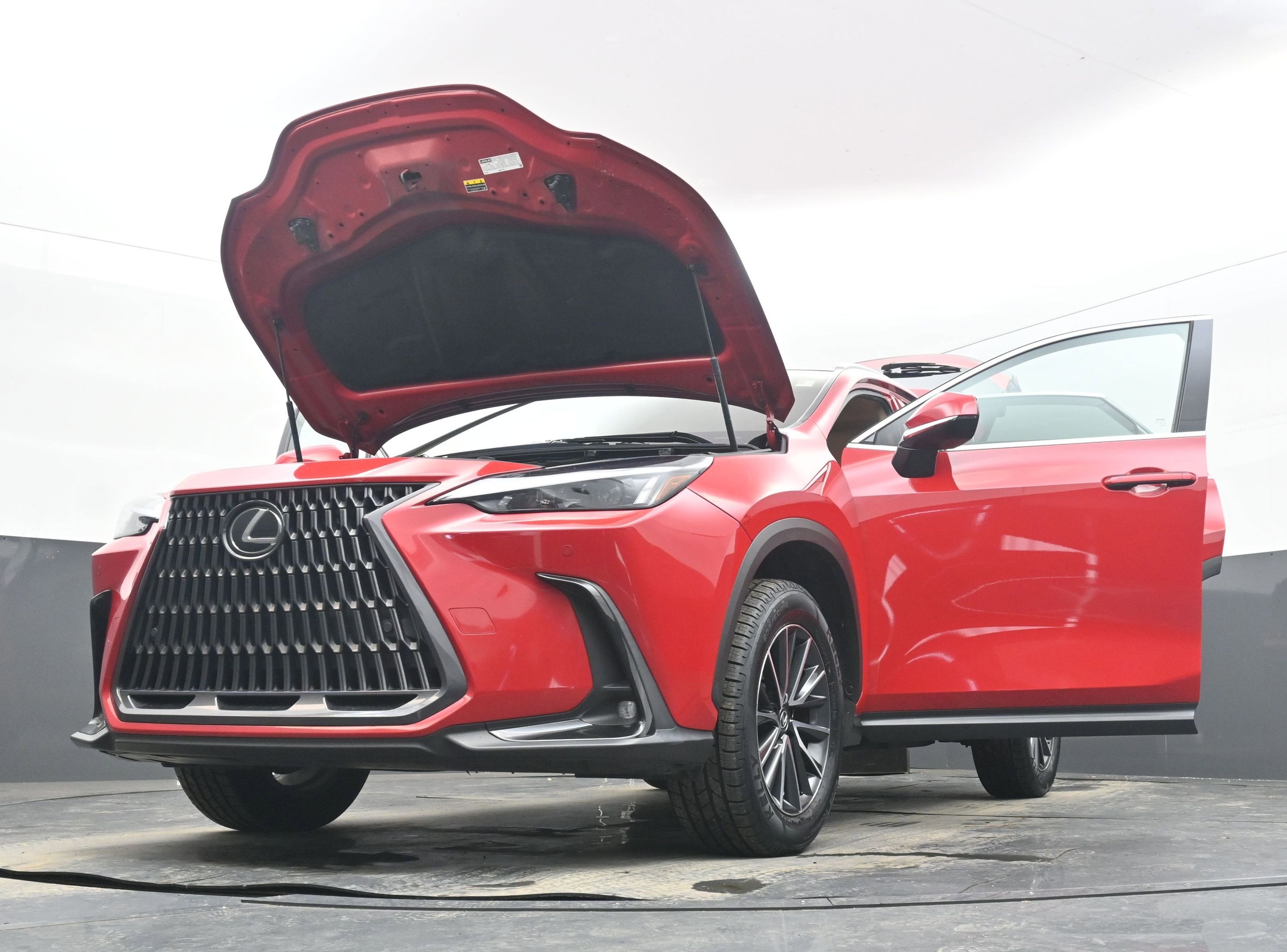 2025 Lexus NX NX 250 Premium