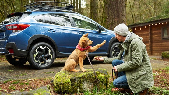 Jim Keras Subaru in Memphis TN